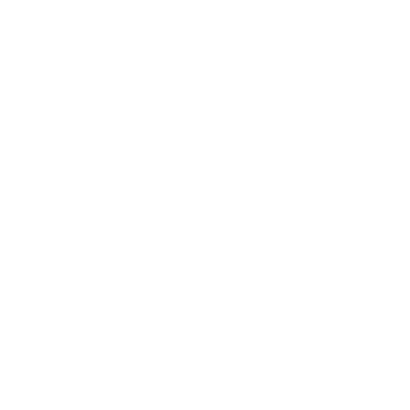 caffe vergnano logo