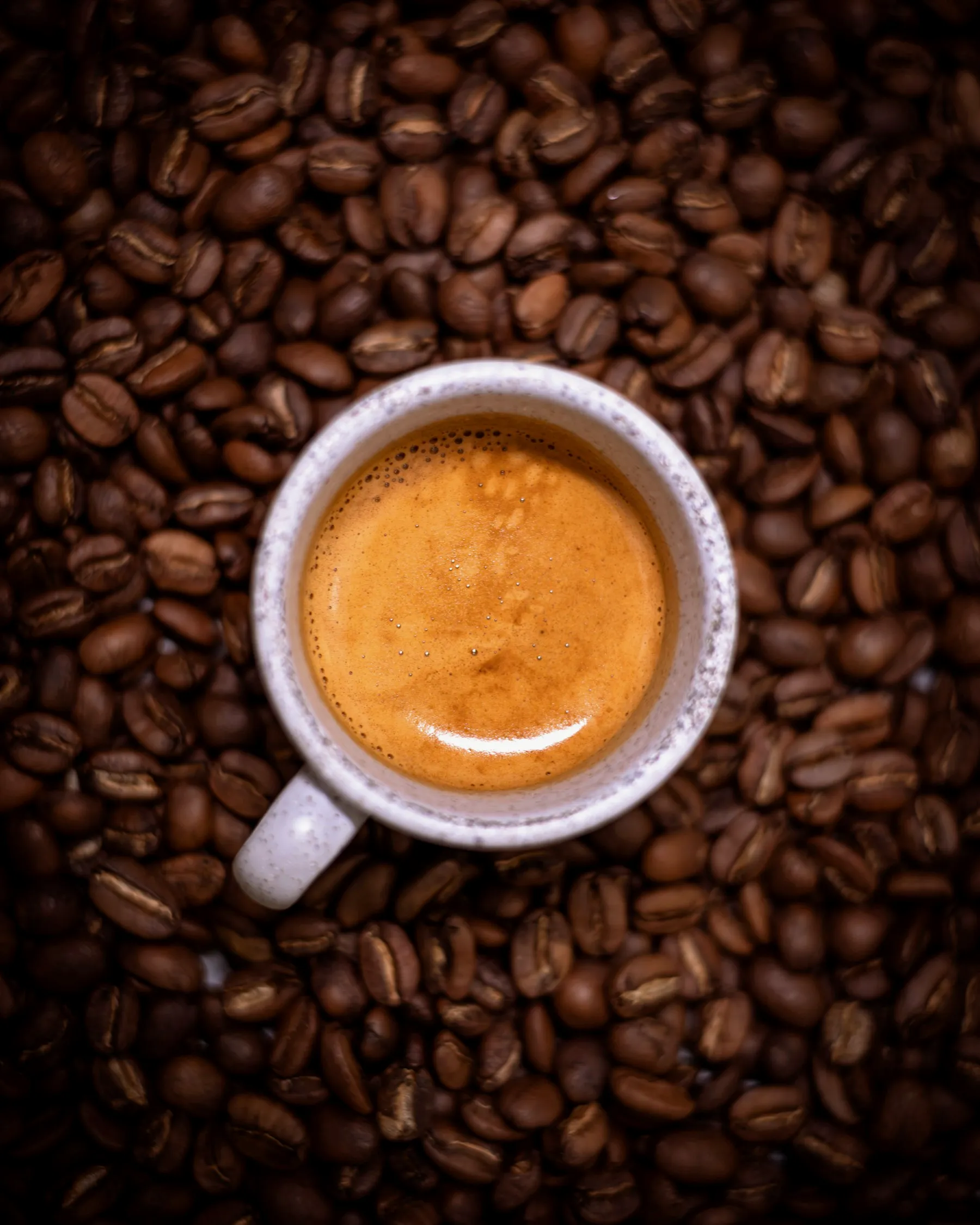 Espresso cup on a bed of roasted coffee beans